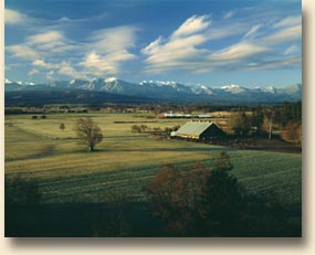 Dungeness Valley