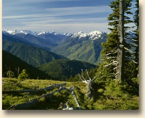 Elwha Valley, Hurricane Ridge