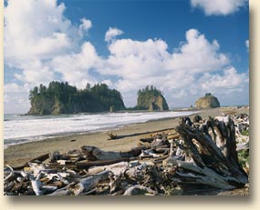 First Beach