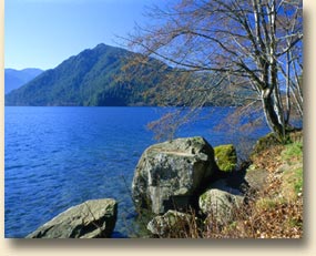Lake Crescent