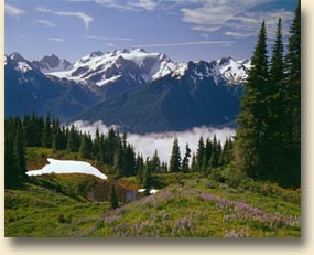 Mount Olympus