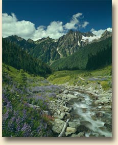 Mount Anderson, White Creek Basin