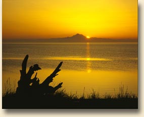Jamestown Sunrise
