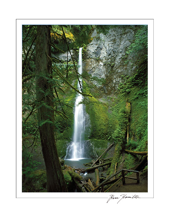 Marymere Falls 11x14 Poster