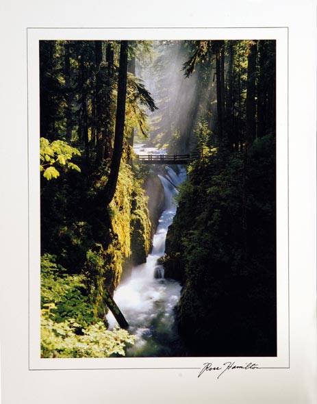 Sol Duc Falls 11x14 Poster