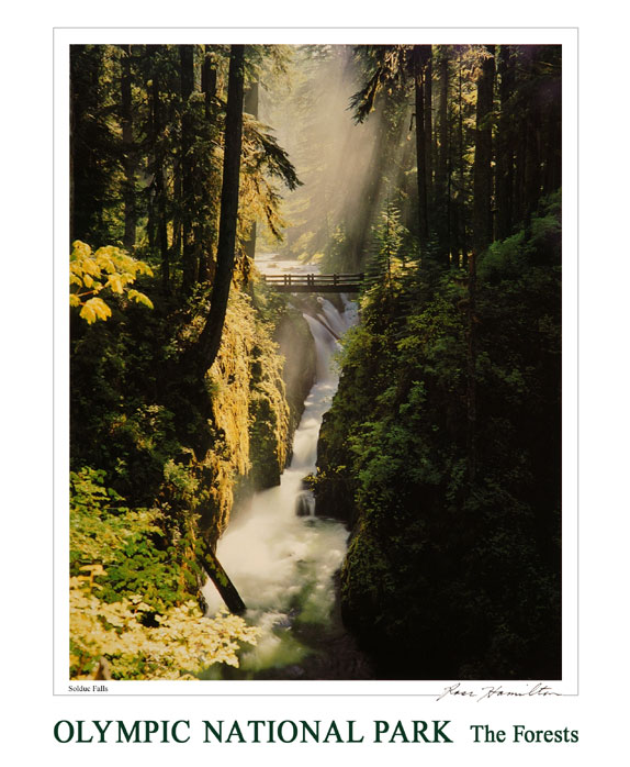 Sol Duc Falls 20x24 Poster